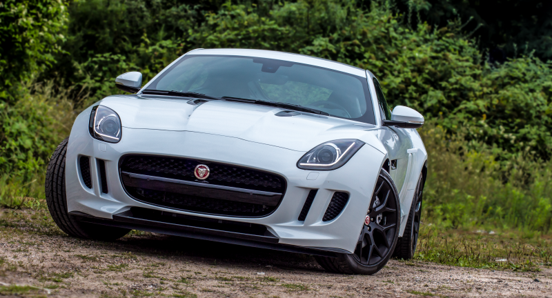 jaguar